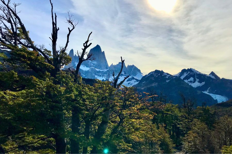 Patagonia Viaje de 10 Días: Descubriendo la sorprendente belleza de sus agrestes paisajes