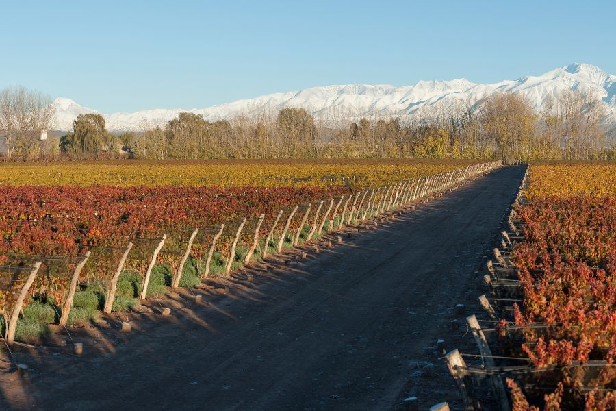 3 Days – Mendoza Wines and Andes
