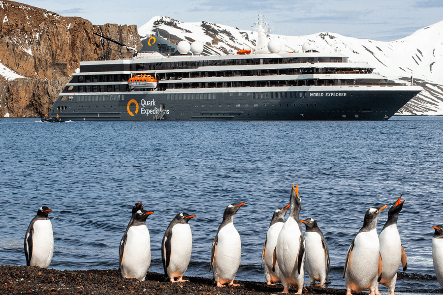 16 Tage - Südgeorgien und Antarktische Halbinsel: Pinguin-Safari