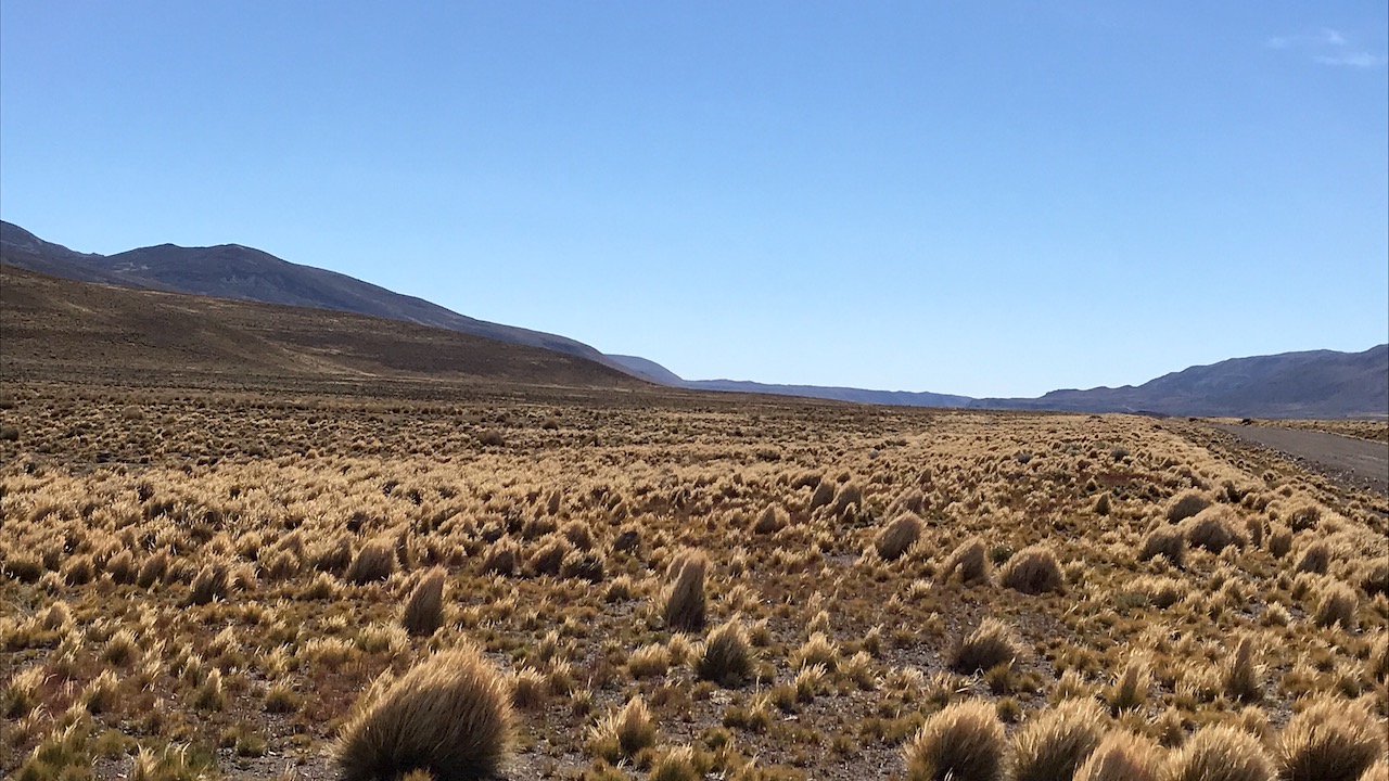 Voyage à Los Antiguos et dans le parc national de Patagonie