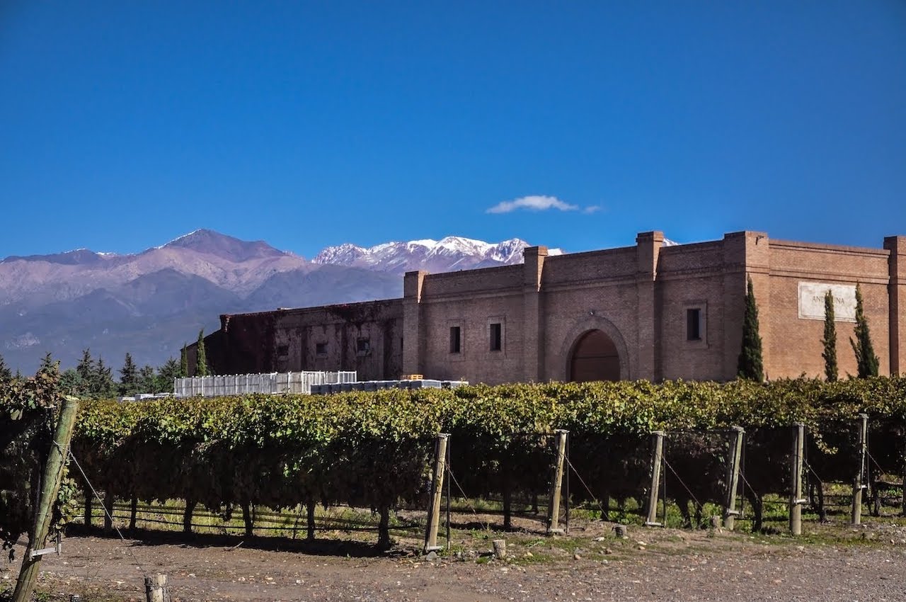 Voyage dans la vallée d'Uco. Visites guidées des vignobles de Mendoza dans la Vallée de Uco