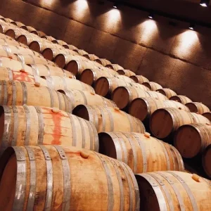 Wine cellar in Mendoza