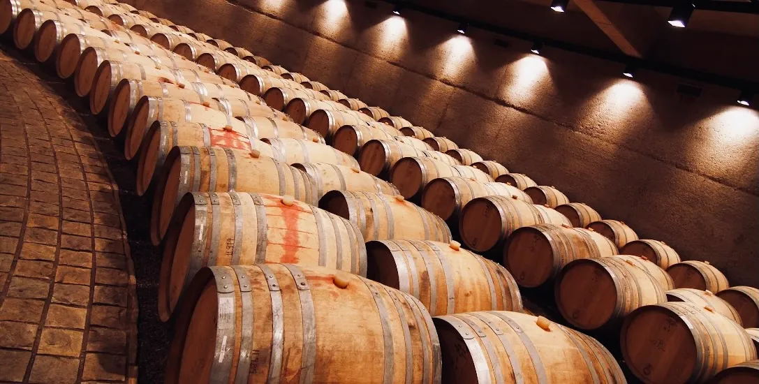 Wine cellar in Mendoza