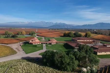 Domaine viticole de Mendoza
