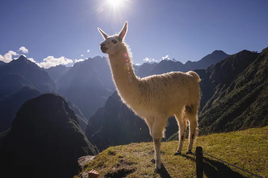 11 Tage reines Perú Abenteuer